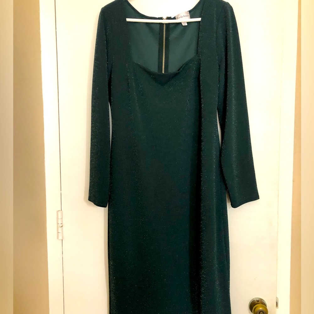 NWOT Dress